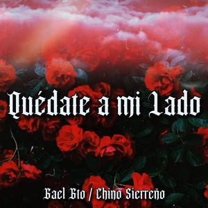 Quédate a Mi Lado