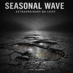 Seasonal Wave