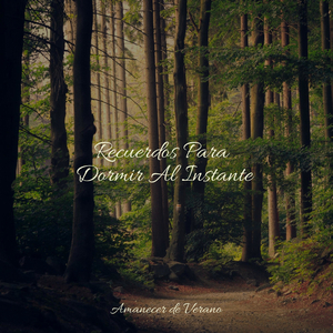 Paseo Primaveral Feliz