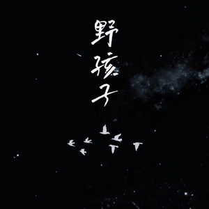 野孩子