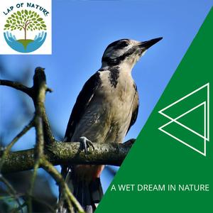 Bubbles Catch On Fire