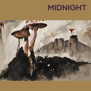 Midnight