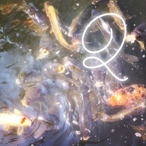 死ぬほど好きだった