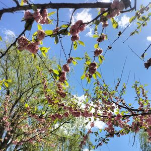 春夏秋冬 我都爱你（prod Jeston）