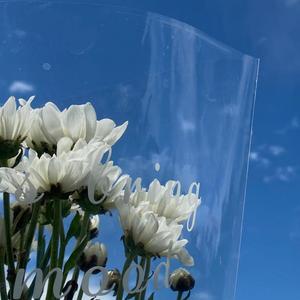 世界上的另一个我