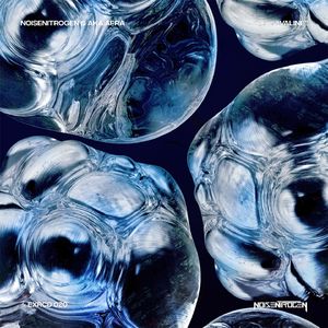 Valine (Extended Mix)