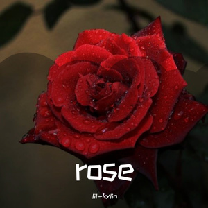 rose（prod.FRESH_ye）