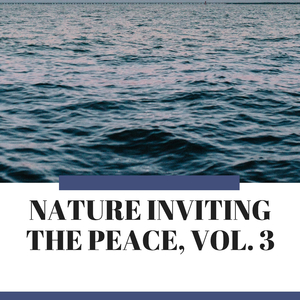 Assemble into the Ocean