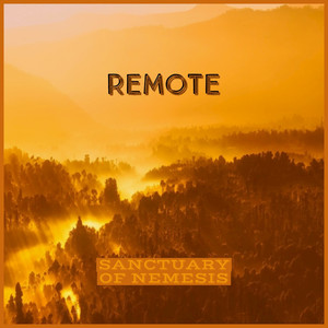 Remote