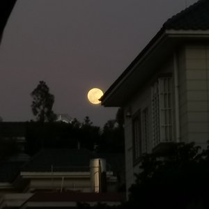 乌鸦（prod by Lyoung）