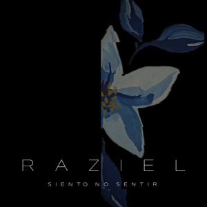 11 de Febrero