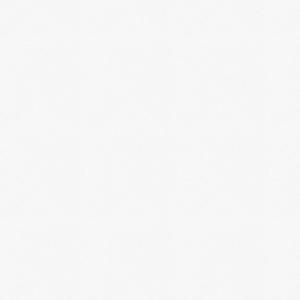 The stranger (Instrumental)