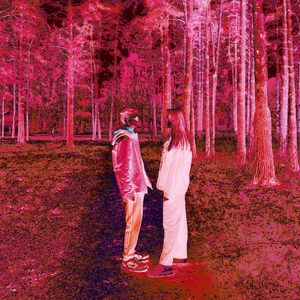 Тепловизор