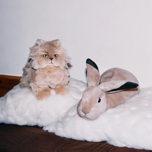 我在纽约打电话给你