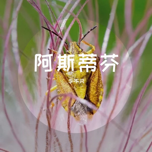舒安峰