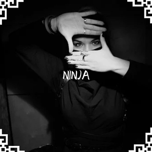 NINJA-偷袭