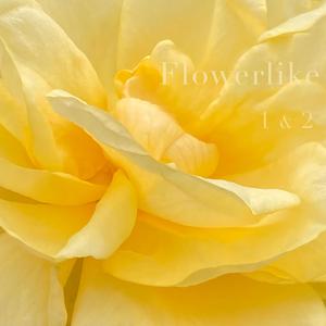 Flowerlike, Pt. 1