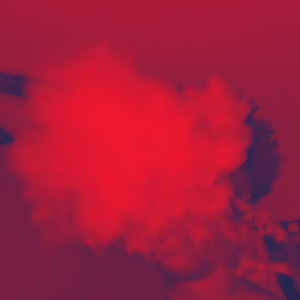 Strive for life (audio)