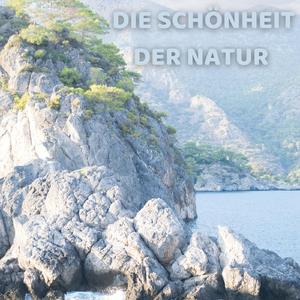 Auf Tuchfühlung gehen