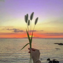 回答的人不在 (DJ版)