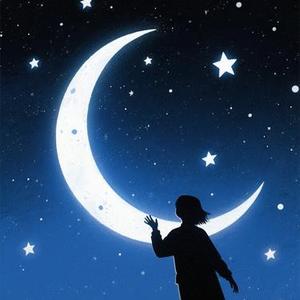 揽星月