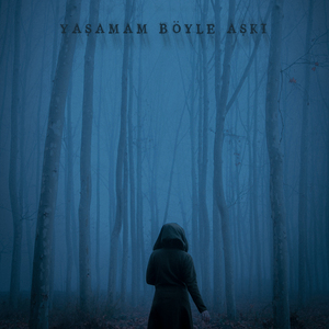 Yaşamam Böyle Aşkı