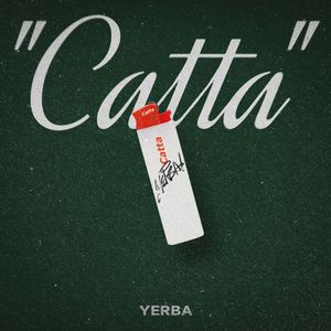 Catta（咔塔）