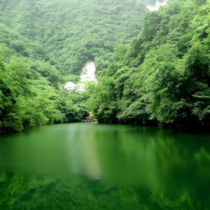 爱的诗行写满心