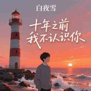 十年之前我不认识你