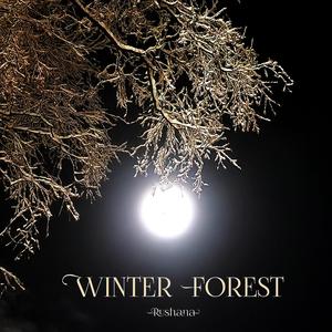 Winter Forest