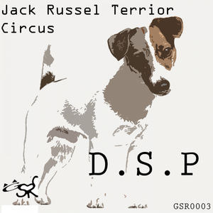 Jack Russel Terrier (Original Mix)