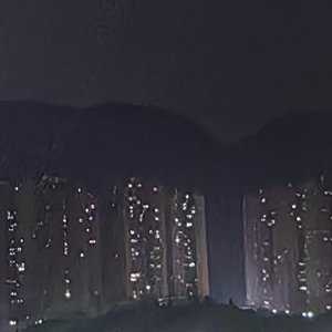 鸡飞蛋打小石头