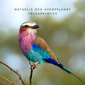 Perfekt start på dagen