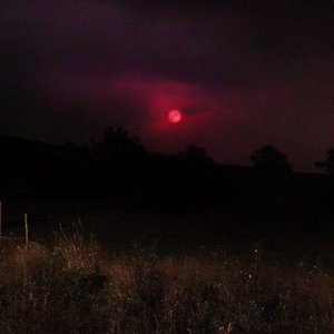 All Things Considered, You Were the Best