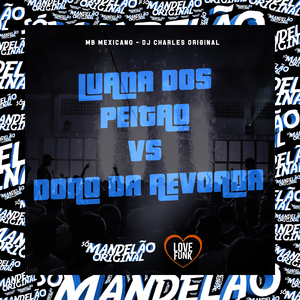 Luana dos Peitao Vs Dono da Revoada