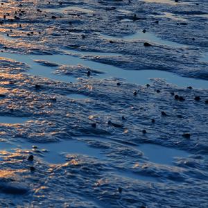 爱恋之梦 Dream of Love