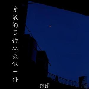 爱我的事你从未做一件 (DJ版)