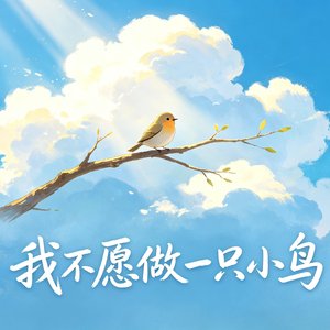 我不愿做一只小鸟.wav