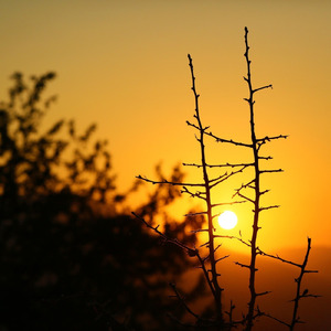 生きるべきか 死ぬべきか