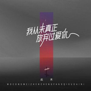 我从未真正放弃过爱你