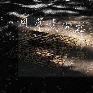 风带走沉默