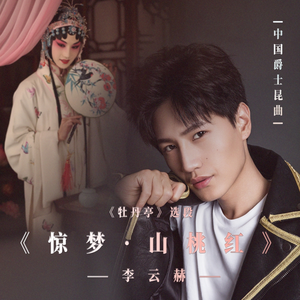 惊梦·山桃红Ⅱ