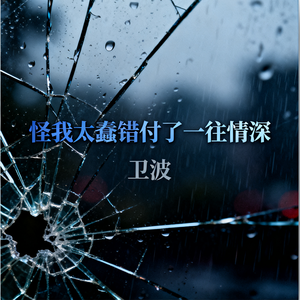 怪我太蠢错付了一往情深