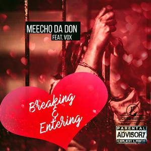 Breaking and Entering (feat. Vox)