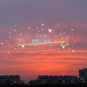 和宇宙的温柔关联