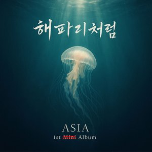 이해하지 않아도 돼