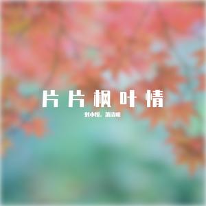片片枫叶情【温柔男男版】