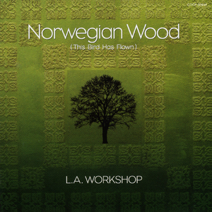 The Fool on The Hill