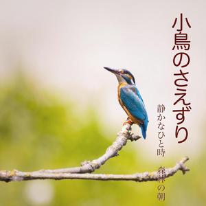 小鳥のさえずり -川沿いのキャンプ場でのひと時-