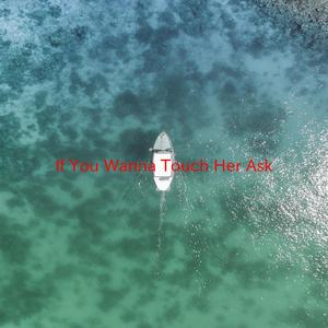 If You Wanna Touch Her, Ask ! (Instrumental version originally performed by Shania Twain)